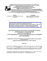 АОП ДО для детей с интеллектуальными нарушениями